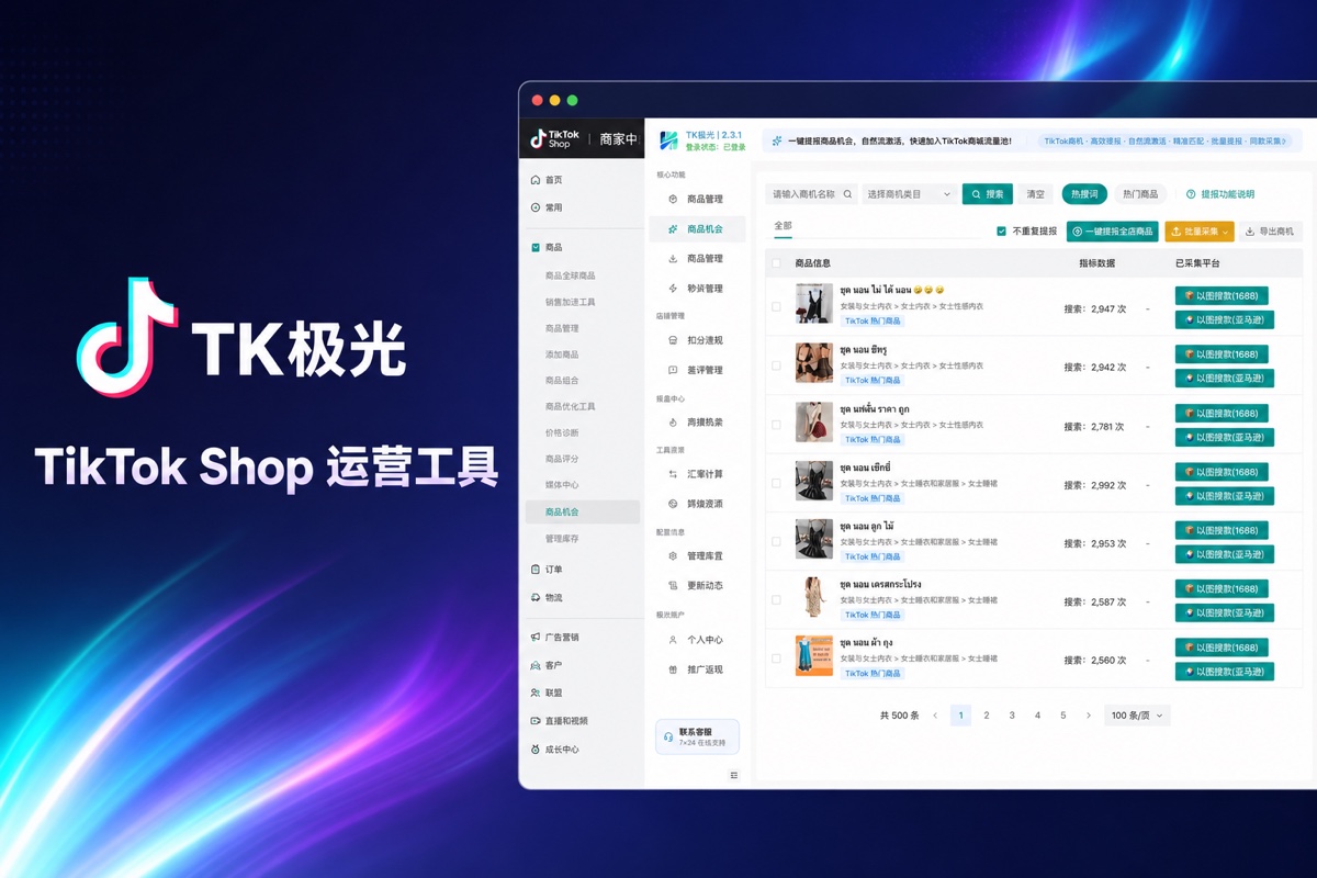 TK极光插件TikTok Shop 运营工具功能界面